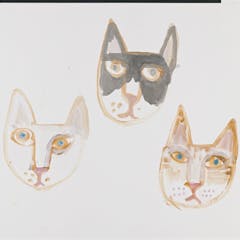 Cat Head 3
